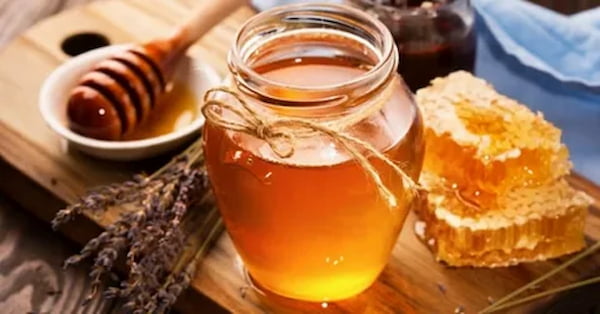 تصویر 4 از قیمت عسل چهل گیاه ممتاز خوانسار + خرید باور نکردنی